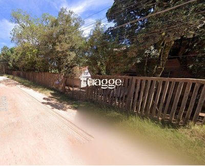 Terreno, 2 hectares - Foto 3