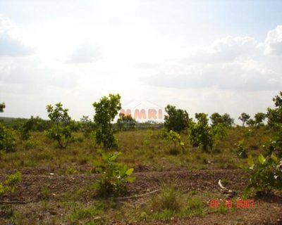 Fazenda, 1301 m² - Foto 5