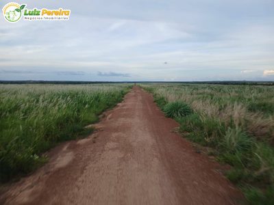 Terreno, 2500 m² - Foto 1