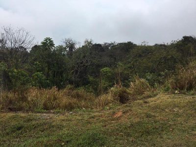 Terreno, 1220 m² - Foto 3