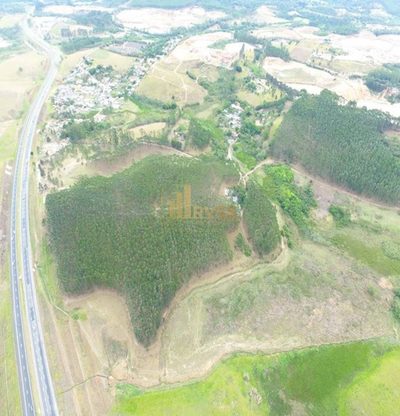 Terreno, 25 hectares - Foto 4