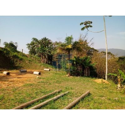 Sítio, 2 quartos, 8000 m² - Foto 3