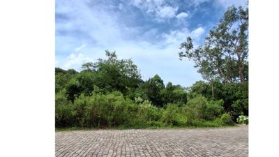 Terreno, 425 hectares - Foto 1