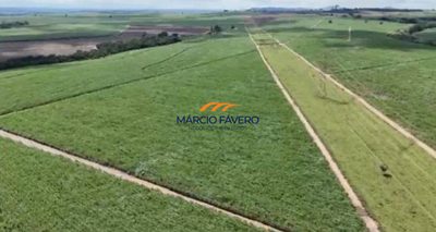 Fazenda, 242 hectares - Foto 3