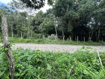 Terreno, 6059 m² - Foto 4