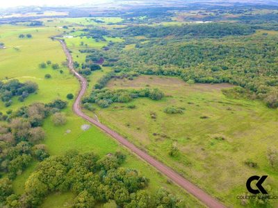 Sítio, 108 hectares - Foto 5