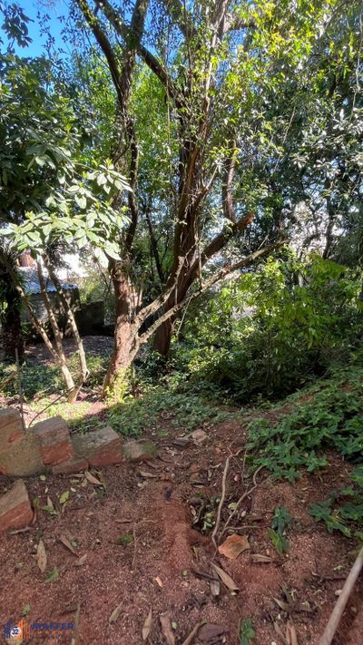 Terreno, 3041 m² - Foto 2