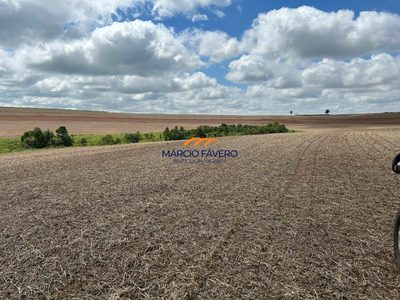 Fazenda, 278 hectares - Foto 4