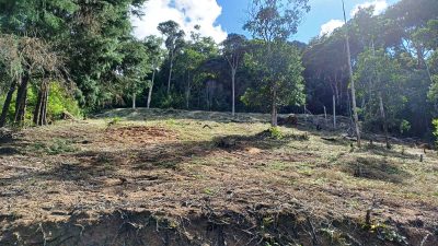 Chácara, 1 quarto, 5000 m² - Foto 1