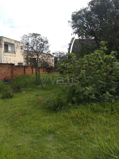 Casa, 3 quartos, 173 m² - Foto 4