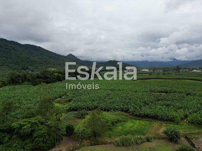 Terreno, 3 hectares - Foto 3