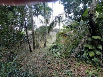 Terreno, 6600 m² - Foto 3