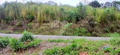 Terreno, 1000 m² - Foto 5