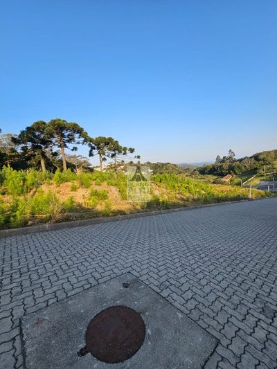Terreno, 360 m² - Foto 4