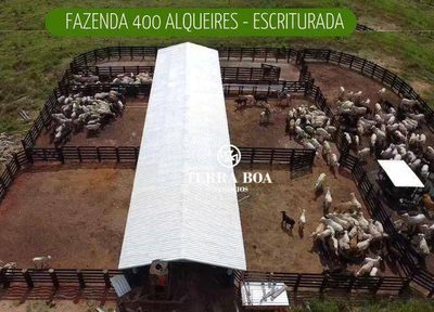 Fazenda, 968 hectares - Foto 1