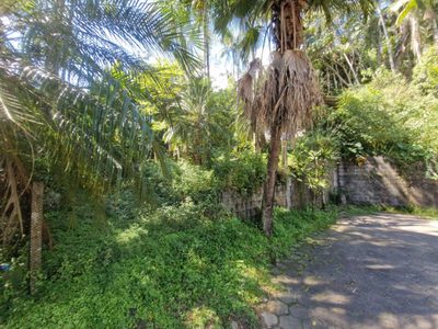 Terreno, 1508 m² - Foto 3