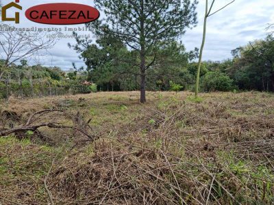 Terreno, 5000 m² - Foto 2