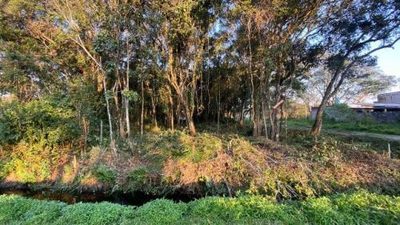 Terreno, 125 m² - Foto 1
