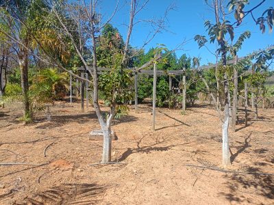 Sítio, 4 quartos, 2 hectares - Foto 1