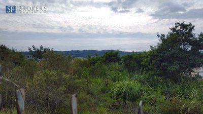 Terreno, 2 hectares - Foto 5