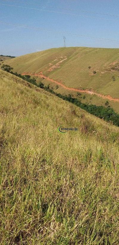 Fazenda, 56 hectares - Foto 5