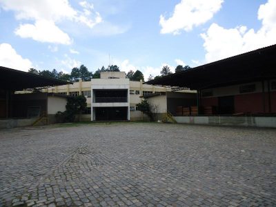 Terreno, 8 hectares - Foto 5