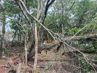 Loteamento e Condomínio, 1025 m² - Foto 3