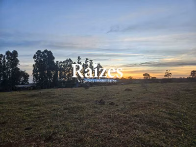 Sítio, 3 quartos, 168000 m² - Foto 1