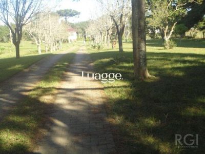 Sítio, 3 quartos, 681 m² - Foto 4