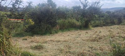 Terreno, 4 hectares - Foto 4