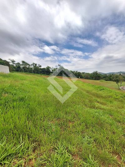 Terreno, 5 hectares - Foto 4