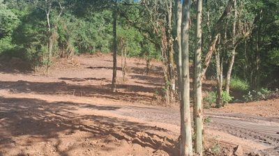 Terreno - Foto 1