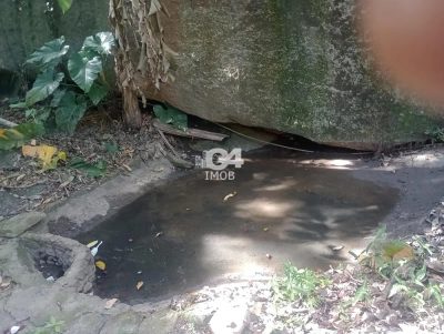 Terreno, 4 hectares - Foto 3