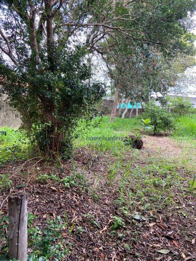 Terreno, 360 m² - Foto 4
