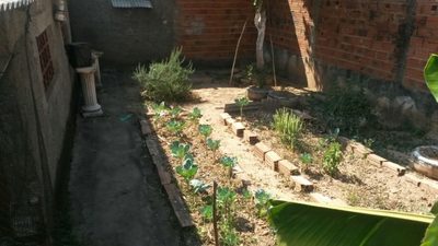 Casa, 2 quartos - Foto 4