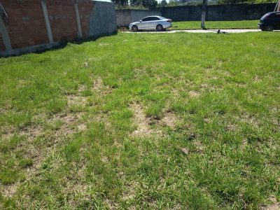 Terreno, 125 m² - Foto 4