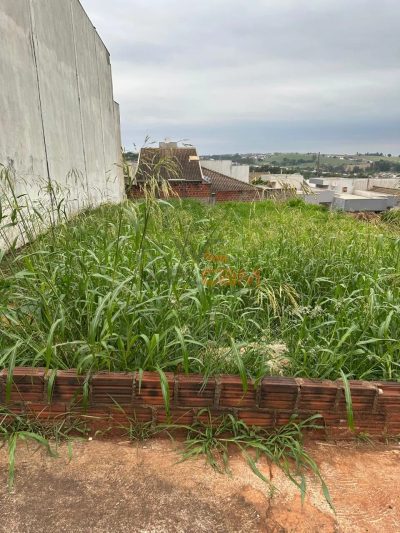 Terreno, 300 m² - Foto 5