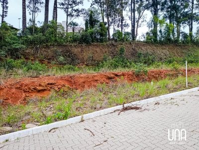 Terreno, 246 m² - Foto 3