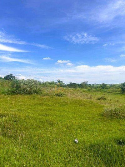 Terreno, 5 hectares - Foto 1
