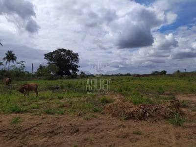 Terreno, 3 hectares - Foto 3