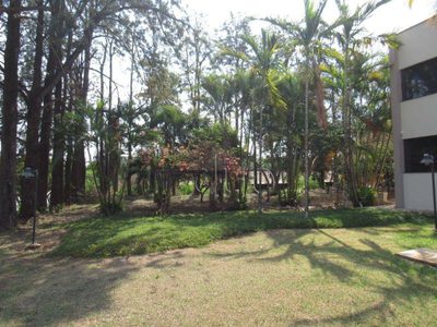 Depósito-Galpão, 745 m² - Foto 2