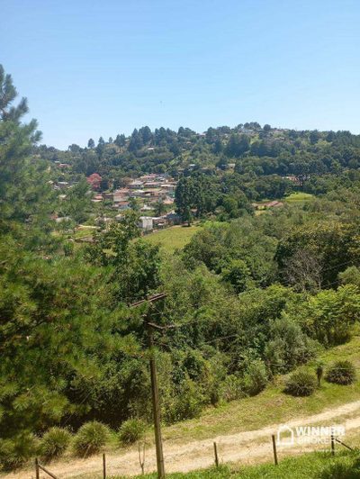 Chácara, 9 quartos, 2 hectares - Foto 3