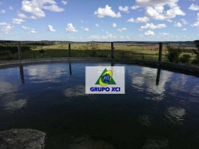 Fazenda, 1034 hectares - Foto 3