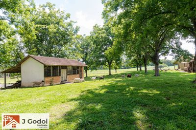 Terreno, 8 hectares - Foto 4