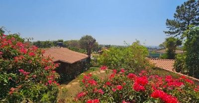 Casa, 3 quartos, 304 m² - Foto 4