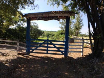 Chácara, 5 quartos, 4 hectares - Foto 2