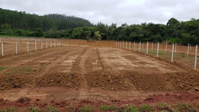 Terreno, 445 m² - Foto 1