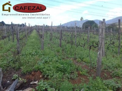 Terreno, 4 hectares - Foto 4