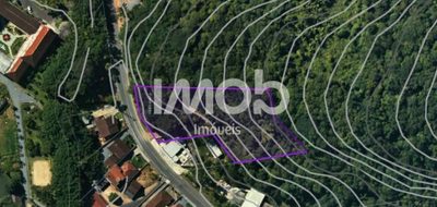 Terreno, 1 hectares - Foto 4