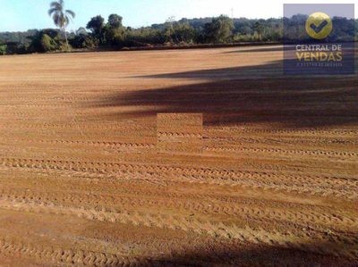 Terreno, 3 hectares - Foto 4